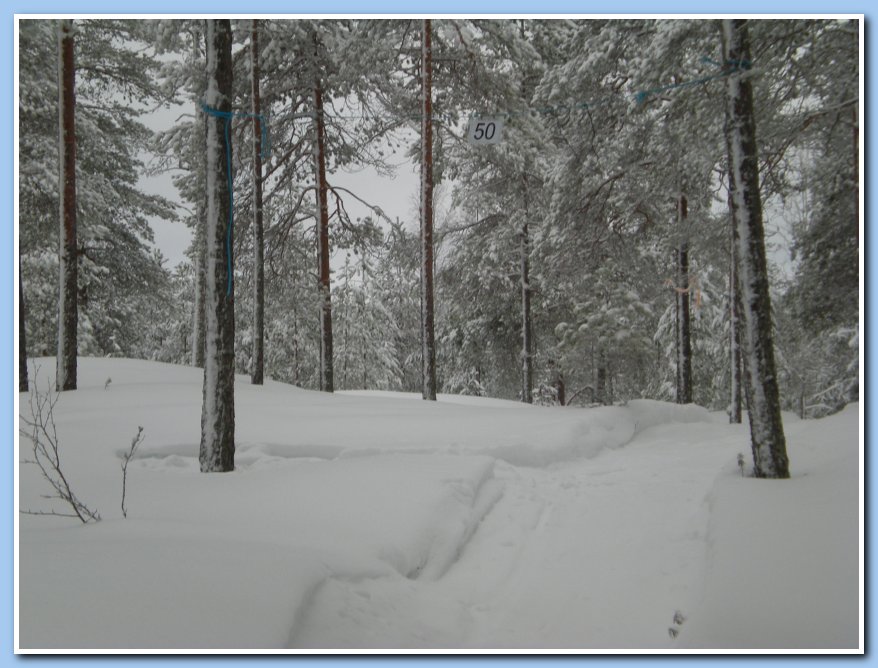helmikuu2011 017